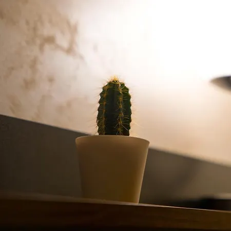 House 78 Apartamento Bari