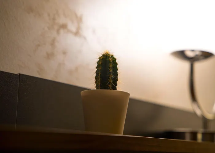 House 78 Apartamento Bari